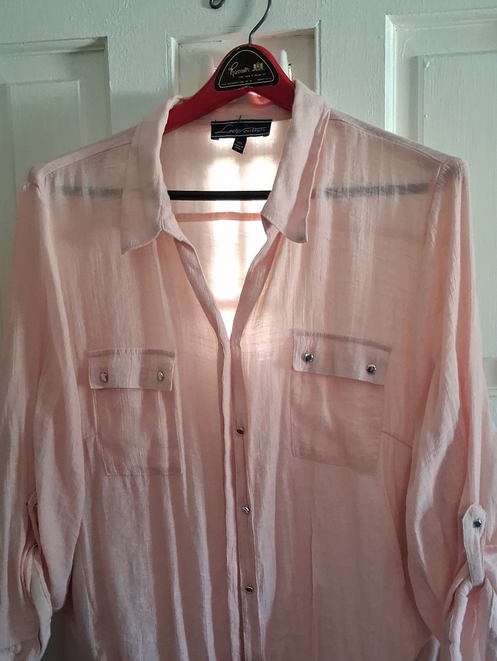 Light Pink Sheer Button-Down Shirt with Chest Pockets